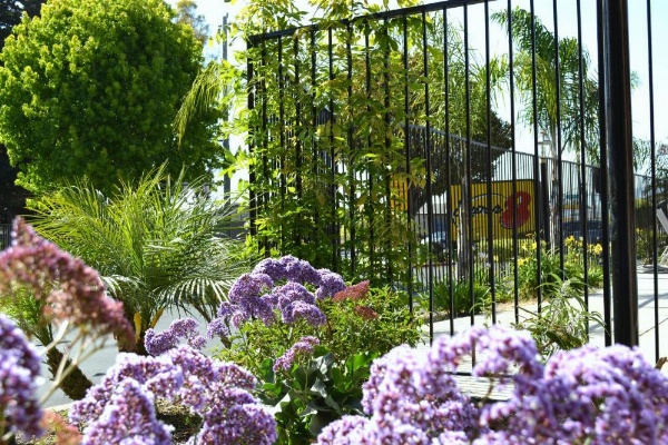 Super 8 by Wyndham Salinas image 18